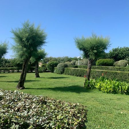 Vittoria Immobilier 4-Reglement Sur Place -Cheques Vacances Acceptes La Grande Motte Ngoại thất bức ảnh